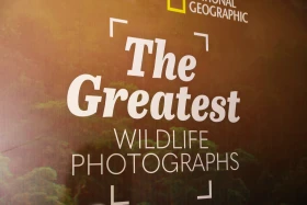 Қазақстан Республикасының Ұлттық музейінде National Geographic журналының көрмесі ашылды - фото 19