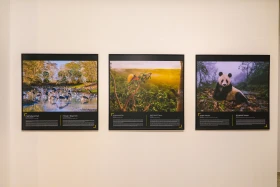 Қазақстан Республикасының Ұлттық музейінде National Geographic журналының көрмесі ашылды - фото 25