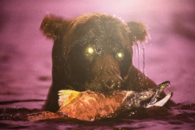 Қазақстан Республикасының Ұлттық музейінде National Geographic журналының көрмесі ашылды - фото 26