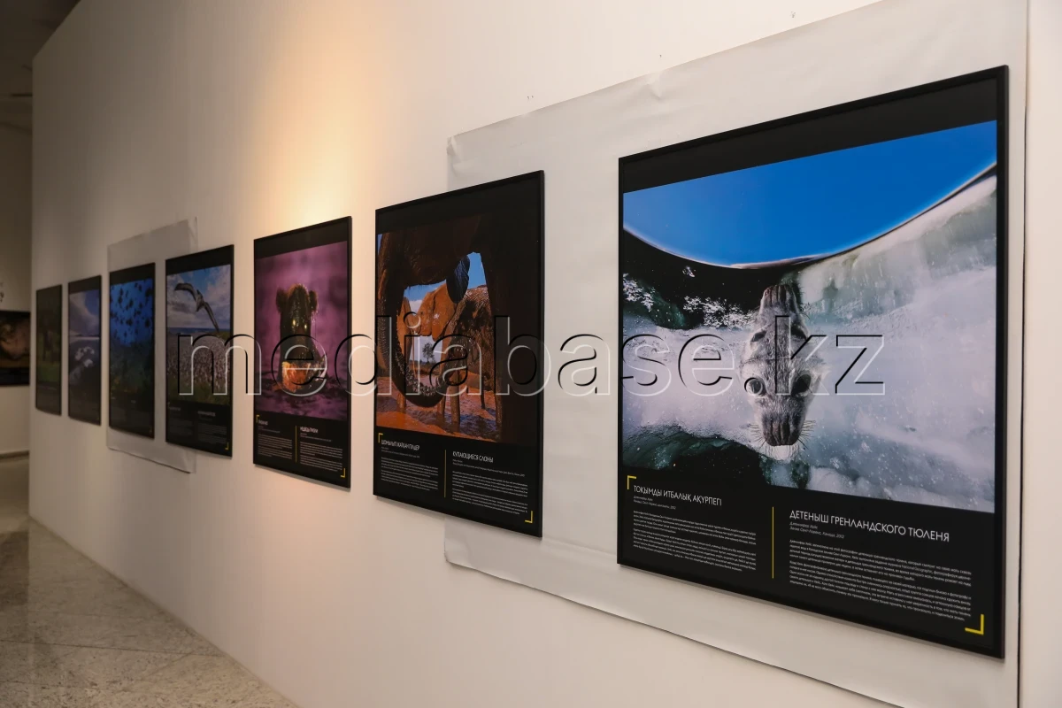 Қазақстан Республикасының Ұлттық музейінде National Geographic журналының көрмесі ашылды - фото 1