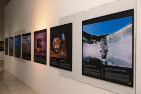 В Национальном музее РК открылась выставка журнала «National Geographic» - фото 1