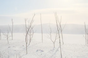 Астанада бір тәулікте 250-ден аса жол көлік оқиғасы орын алған - фото 9