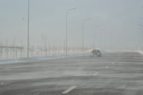 Астанада бір тәулікте 250-ден аса жол көлік оқиғасы орын алған - фото 11