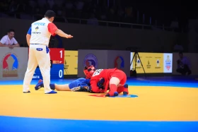 Самбодан Азия чемпионаты - фото 5