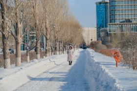 Астана қарлы боран - фото 19