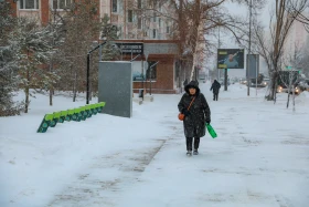 Астана қарлы боран - фото 25