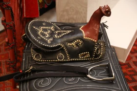 2023 жылғы спорт саласындағы жетістіктер мен 2024 жылға қойылған негізгі міндеттер - фото 3