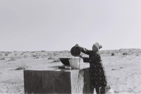 Кархан: Мал шаруашылығы - фото 2