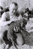 Кархан: Мал шаруашылығы - фото 5