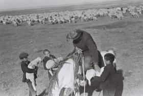 Кархан: Мал шаруашылығы - фото 15