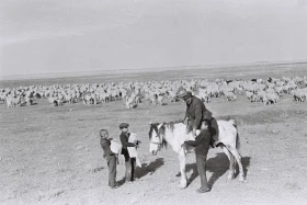 Кархан: Мал шаруашылығы - фото 17