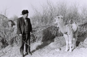 Кархан: Мал шаруашылығы - фото 22