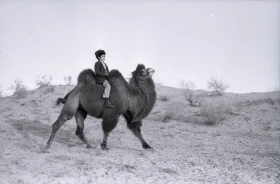 1960 жылдардағы Мойнақ қаласы - фото 24
