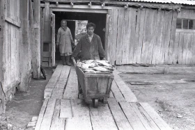 1960 жылдардағы Мойнақ қаласы - фото 33