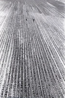 1960 жылдардағы Мойнақ қаласы - фото 46