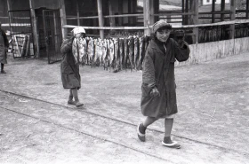 1960 жылдардағы Мойнақ қаласы - фото 67