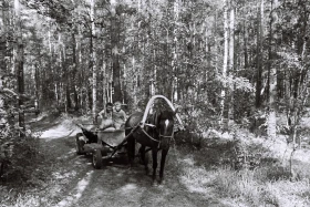 Сәкен Сейфуллин атындағы Санаторий-профилакторий - фото 8