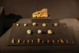 Доисторический Казахстан: в каких регионах страны жили тираннозавры и мамонты - фото 4