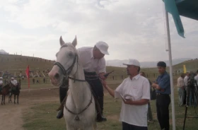 Ұзынағашта ат жарысы - фото 2