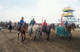 Ұзынағашта ат жарысы - фото 9