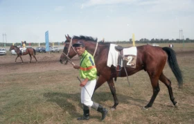 Ұзынағашта ат жарысы - фото 17