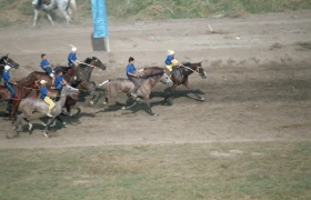 Ұзынағашта ат жарысы - фото 22