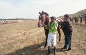 Ұзынағашта ат жарысы - фото 24