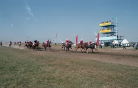 Ұзынағашта ат жарысы - фото 28