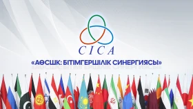 АӨСШК: Бітімгершілік синергиясы - фото 1