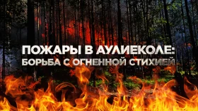 Пожарный Аулиекол борьба с огненной стихия