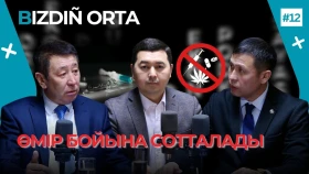 Есірткі тасымалдаушыларға қатысты заң өзгерді: Кімдерге жеңілдік жасалады? - фото 1