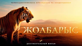 Жолбарыс: Тұран жолбарысының Қазақстанға оралуы туралы деректі фильм