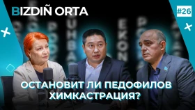 Химическая кастрация или пожизненное: что реально остановит педофилов?