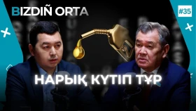 Почему цены на бензин не растут? Кому выгодно фиксирование цен?