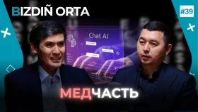How ChatGPT Is Influencing Healthcare in Kazakhstan: Ethical Limitations - photo 1