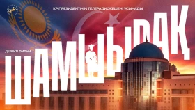 Путеводный свет - фото 1