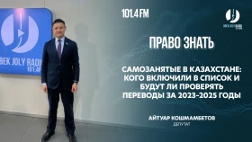 Самозанятые в Казахстане: кого включили в список и будут ли проверять переводы за 2023–2025 годы - фото 1