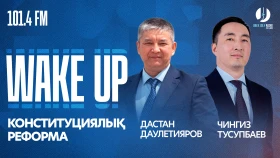 Конституционная реформа и политическая модернизация - фото 1