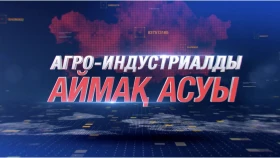 Агро - Индустриалды аймақ асуы