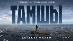Тамшы