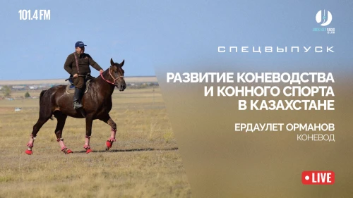 Развитие коневодства и конного спорта в Казахстане - фото 1